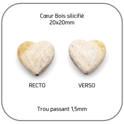 Cœur Bois silicifié-pétrifié Beige clair Pierre naturelle 20mm x1 Perle