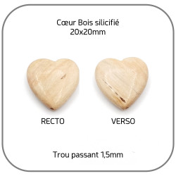 Cœur Bois silicifié-pétrifié Beige Pierre naturelle 20mm x1 Perle