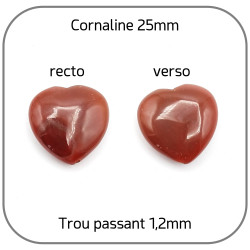 Cœur Cornaline Pierre naturelle 25mm x1 Perle