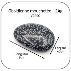 Obsidienne Mouchetée Ovale Pierre naturelle 5cm